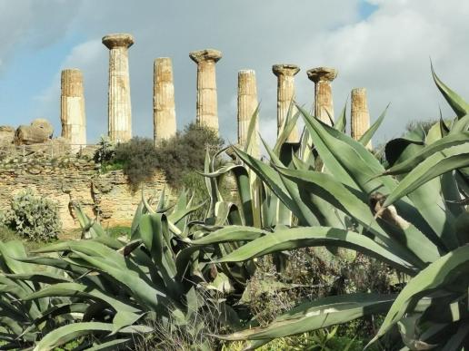 in Agrigento