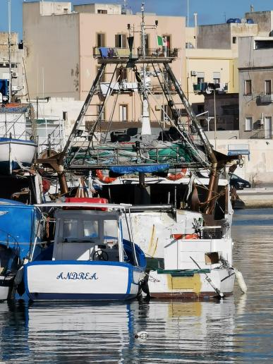 wieder unten im Hafen vonTrapani