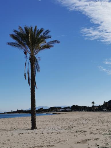 in San Vito Lo Capo