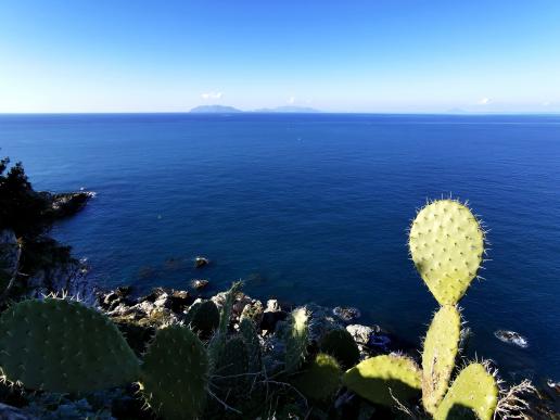 am Capo Milazzo