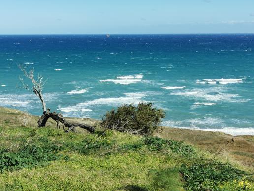 unterwegs nach Crotone