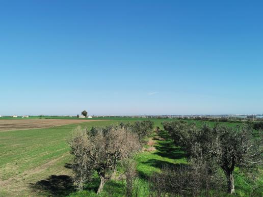 unterwegs nach Térmoli