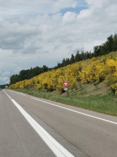 unterwegs in Frankreich