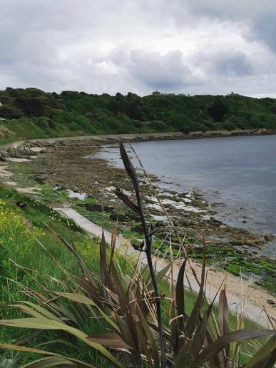 Ebbe in Falmouth