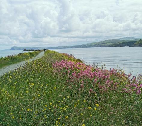 in Fishguard