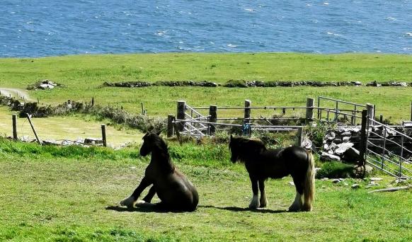 beim Mizen Head