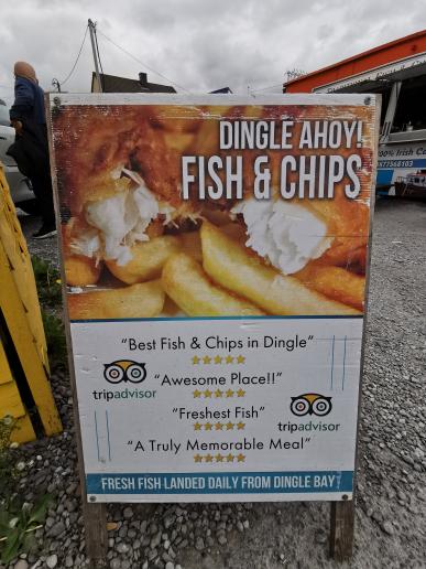 in Dingle