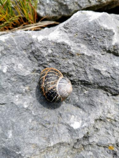 in Fenit