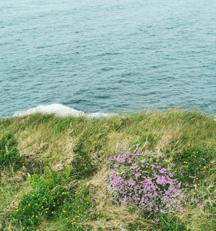 „Cliffs of Moher“