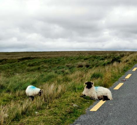 unterwegs zur Achill Island 