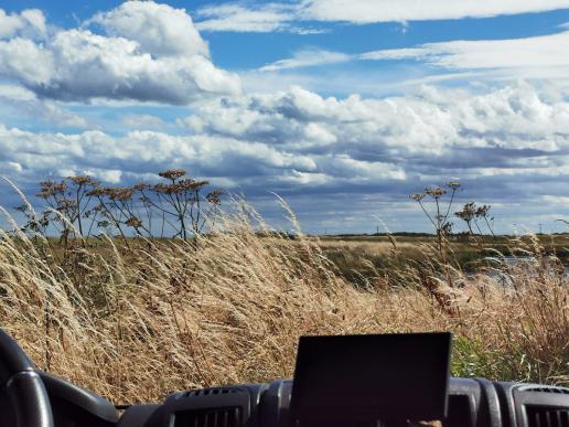 Blick aus dem BONSAI im Spurn National Park