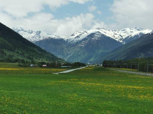 Blick nach Ulrichen