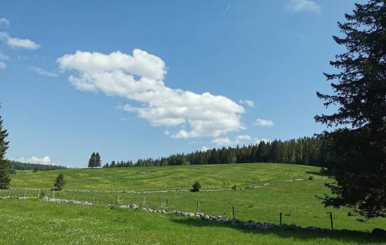 unterwegs im franz. Jura