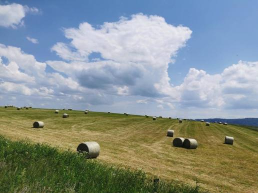 unterwegs im franz. Jura