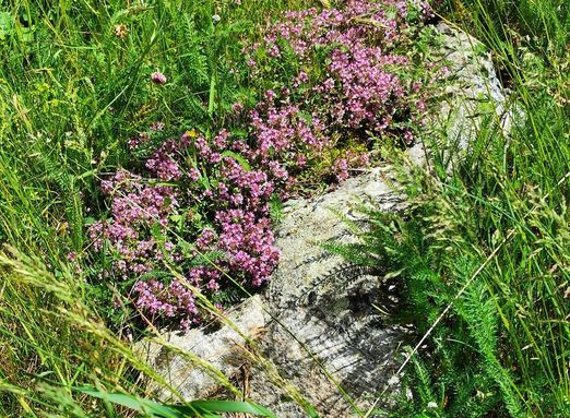 wieder unten im Dorf  Macugnaga