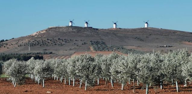 unterwegs nach Consuegra