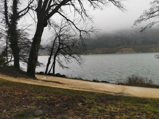 am Lac de NANTUA